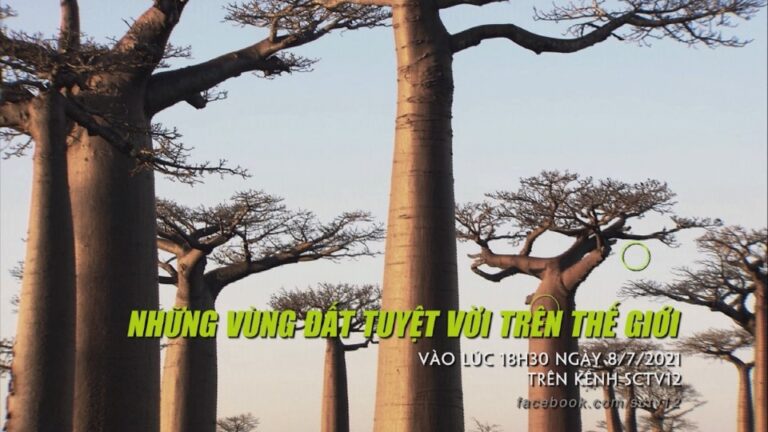 Những vùng đất tuyệt vời trên thế giới