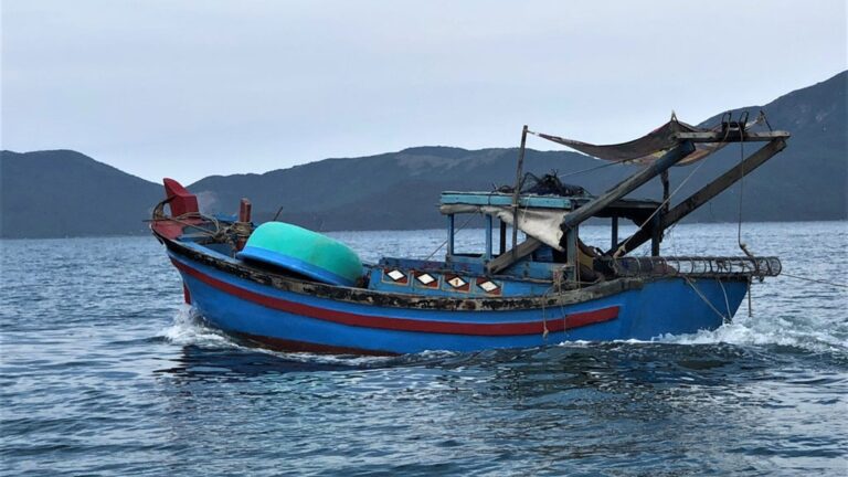 Lợi dụng giãn cách, tàu giã cào càn quét vịnh Vân Phong