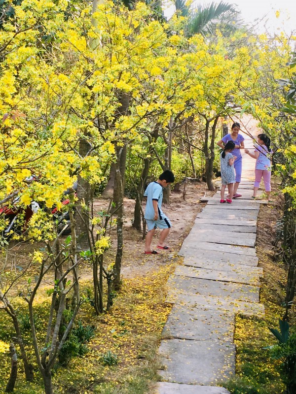 Ngồi trông khói bếp