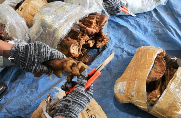 Đà Nẵng: Bắt trùm buôn lậu, thu giữ ngà voi, sừng tê giác... giá trị 300 tỉ đồng