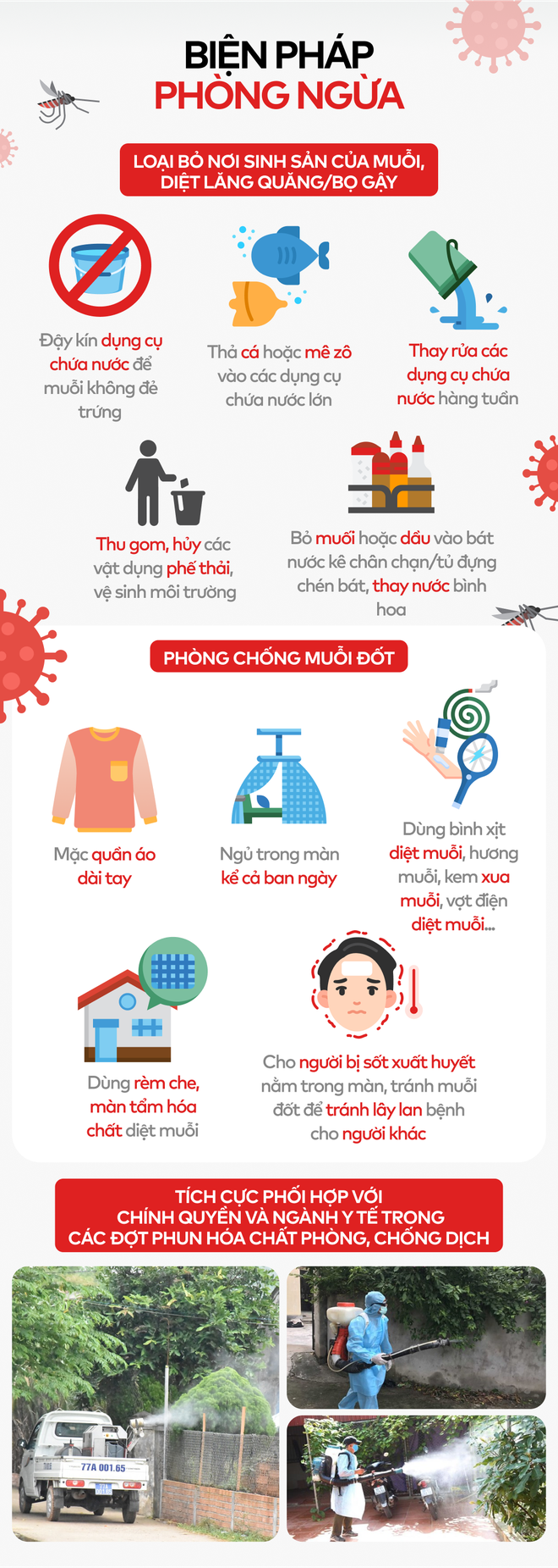 Toàn cảnh tình hình dịch sốt xuất huyết bùng phát ở các tỉnh phía Nam - Ảnh 4. Toàn cảnh tình hình dịch sốt xuất huyết bùng phát ở các tỉnh phía Nam - Ảnh 4.