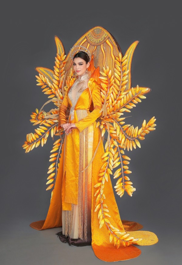 Trân Đài mang “Kim thực” hạt lúa Ninh Bình đến Hoa hậu Chuyển giới 2022 Trân Đài mang “Kim thực” hạt lúa Ninh Bình đến Hoa hậu Chuyển giới 2022