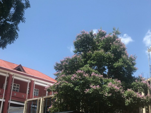 Lời tạm biệt của cô hiệu phó với học sinh lớp 12: ‘Hãy cho đi yêu thương’ Lời tạm biệt của cô hiệu phó với học sinh lớp 12: ‘Hãy cho đi yêu thương’