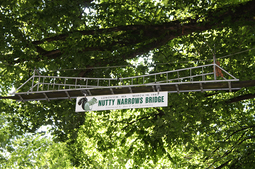 Những con đường độc đáo "không dành cho người" hiếm có khó tìm trên thế giới, nhìn thôi đã muốn "tan chảy" vì quá dễ thương - Ảnh 14.