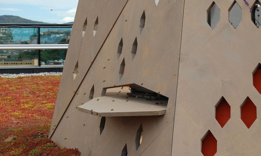 Những con đường độc đáo "không dành cho người" hiếm có khó tìm trên thế giới, nhìn thôi đã muốn "tan chảy" vì quá dễ thương - Ảnh 15.