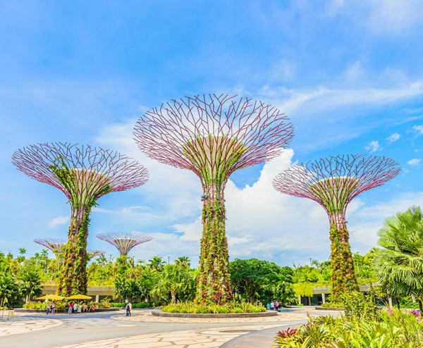 Đi Thái Lan, Singapore hè 2022: Khách Việt cần nhớ những điều cấm kỵ này
