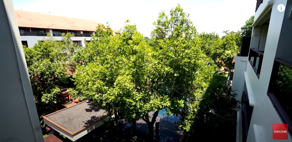 Khách Tây choáng với phòng tắm khách sạn ở điểm du lịch hàng đầu ĐNÁ: Không tin nổi! - Ảnh 4. Khách Tây choáng với phòng tắm khách sạn ở điểm du lịch hàng đầu ĐNÁ: Không tin nổi! - Ảnh 4.