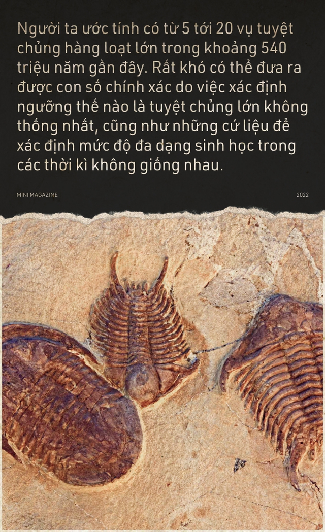 Tại sao sự tuyệt chủng hàng loạt lại xảy ra? - Ảnh 4. Tại sao sự tuyệt chủng hàng loạt lại xảy ra? - Ảnh 4.