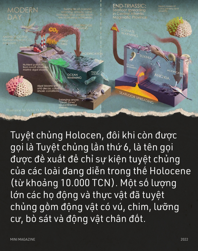 Tại sao sự tuyệt chủng hàng loạt lại xảy ra? - Ảnh 16. Tại sao sự tuyệt chủng hàng loạt lại xảy ra? - Ảnh 16.