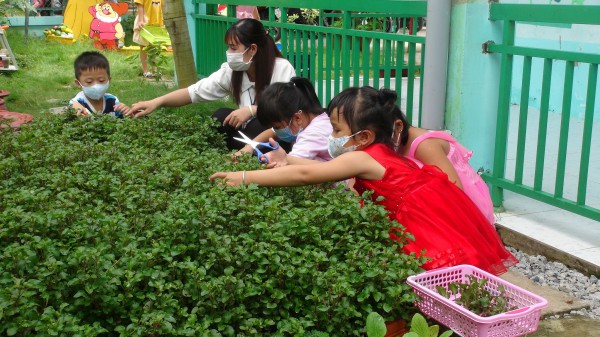 Dạy trẻ tình yêu thiên nhiên qua những buổi học trải nghiệm