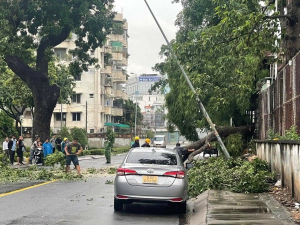 TP.HCM: Gió giật mạnh, nhánh cây xà cừ gãy, đè lên ô tô