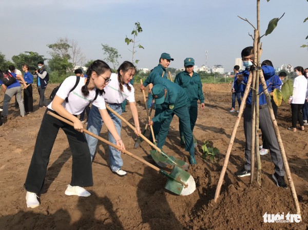 Trồng 500 cây dầu rái tạo mảng xanh cho đô thị