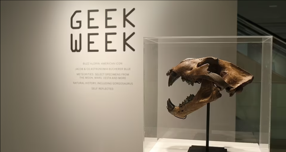 Dùng bút kích hoạt động cơ hỏng trên tàu vũ trụ, về sau phi hành gia bán với giá 46,8 tỷ - Ảnh 10.