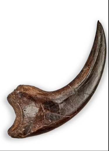 Dùng bút kích hoạt động cơ hỏng trên tàu vũ trụ, về sau phi hành gia bán với giá 46,8 tỷ - Ảnh 9.