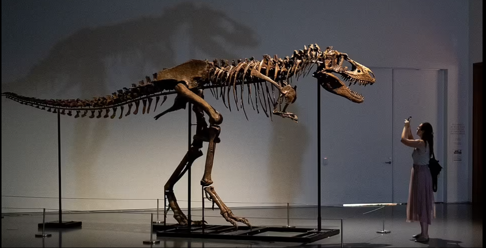 Dùng bút kích hoạt động cơ hỏng trên tàu vũ trụ, về sau phi hành gia bán với giá 46,8 tỷ - Ảnh 12.