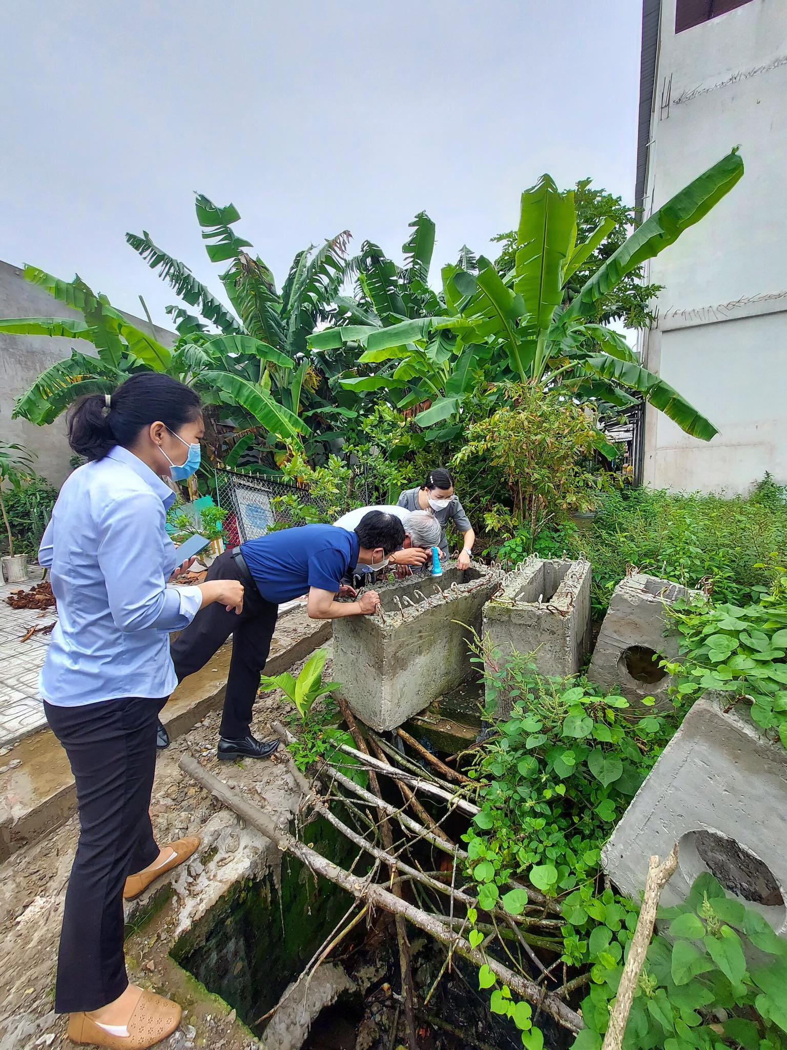 Bộ Y tế phân tuyến điều trị người bệnh sốt xuất huyết