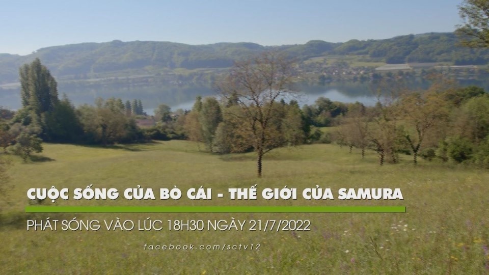 uoc-song-cua-bo-cai-the-gioi-cua-samura