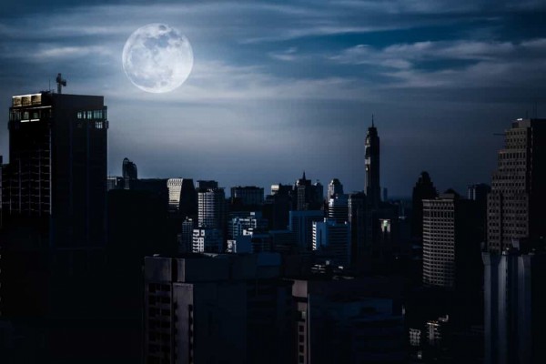 Điều gì sẽ xảy ra nếu con người biến mất khỏi Trái Đất?