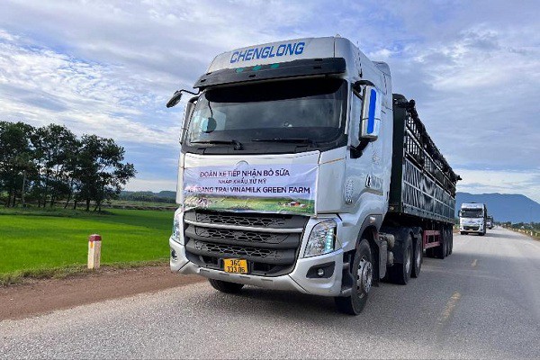 Hệ thống trang trại sinh thái Vinamilk Green Farm đón thêm 1.550 bò sữa nhập từ Mỹ