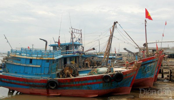 Người mang động lực cho làng biển
