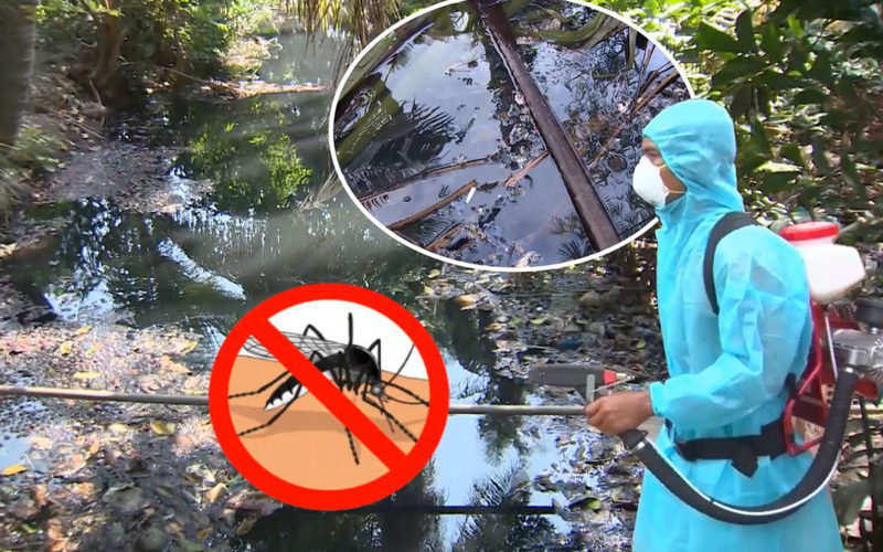 TP. Hồ Chí Minh: Thêm 2 ca tử vong do sốt xuất huyết, 143 ổ dịch mới phát sinh