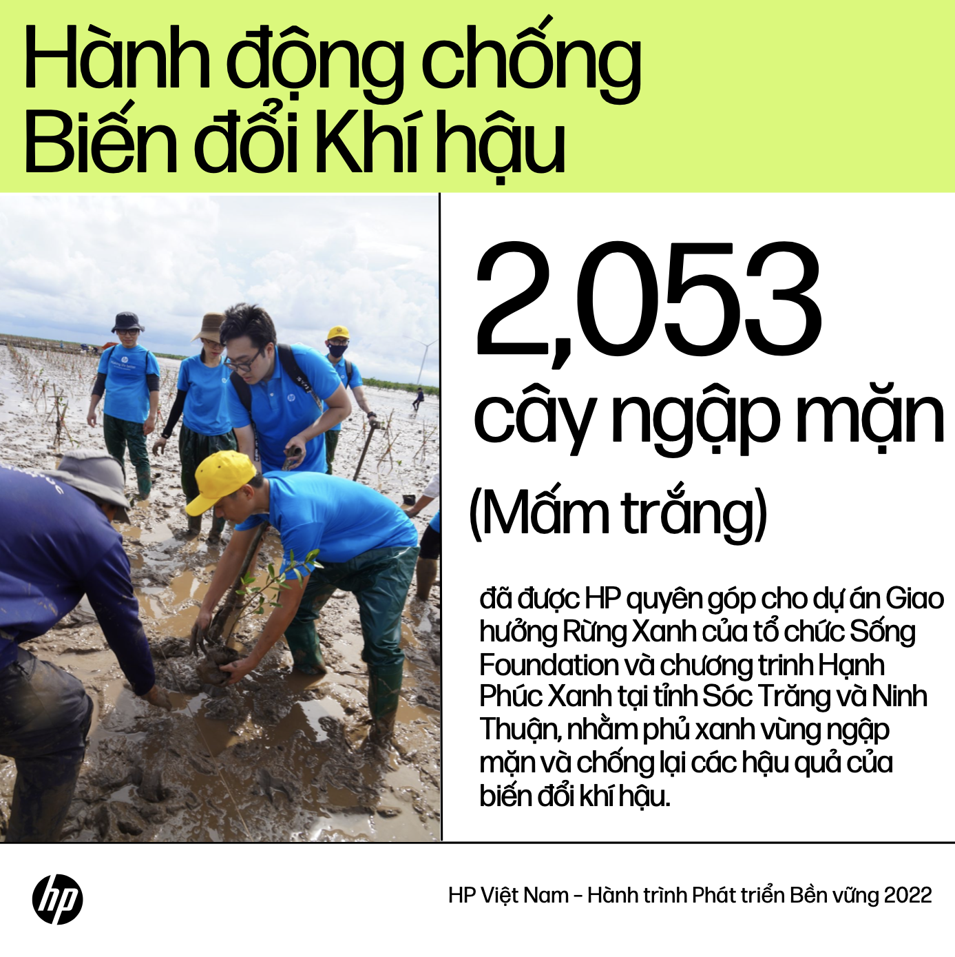 Tăng cường hòa nhập kỹ thuật số vì một tương lai bền vững