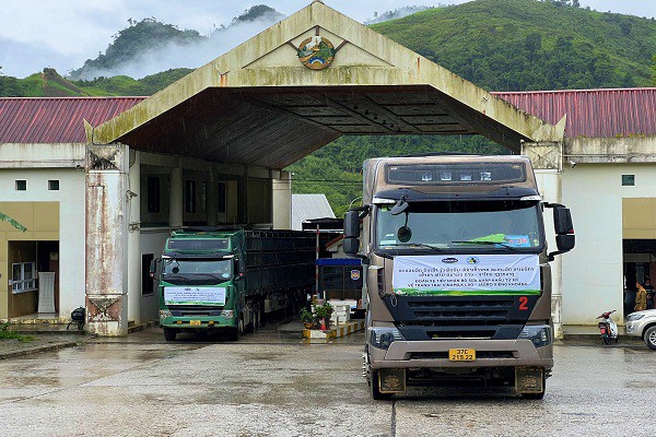 Vinamilk nhập 1000 bò sữa HF từ Mỹ về tổ hợp trang trại tại Lào