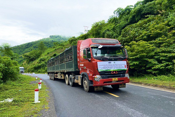 Vinamilk nhập 1000 bò sữa HF từ Mỹ về tổ hợp trang trại tại Lào