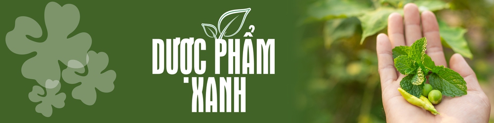 Cây cỏ dại mọc đầy ở Việt Nam, có tác dụng chữa sởi, viêm gan hiệu quả ít người biết - Ảnh 2.
