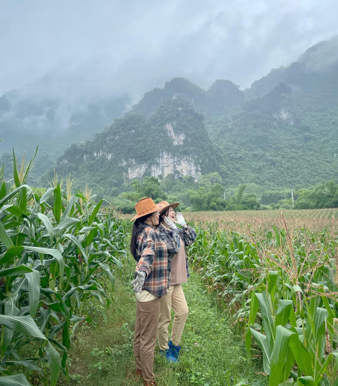 Nữ MC bỏ phố về quê khởi nghiệp mì ngô: Làm thật chứ không vì trào lưu, sức khỏe cải thiện