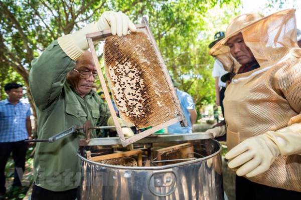 UNDP cam kết hỗ trợ người dân Thanh Hóa nâng cao chống chọi với bão lũ