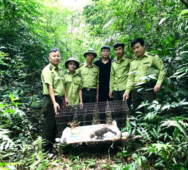 Bắc Giang: Thả cá thể Cu li nhỏ về rừng tự nhiên Tây Yên Tử, huyện Sơn Động