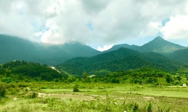 Bắc Giang: Thả cá thể Cu li nhỏ về rừng tự nhiên Tây Yên Tử, huyện Sơn Động