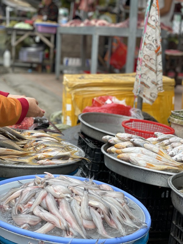 Chợ U Minh - xóm chợ trên mảnh đất anh hùng