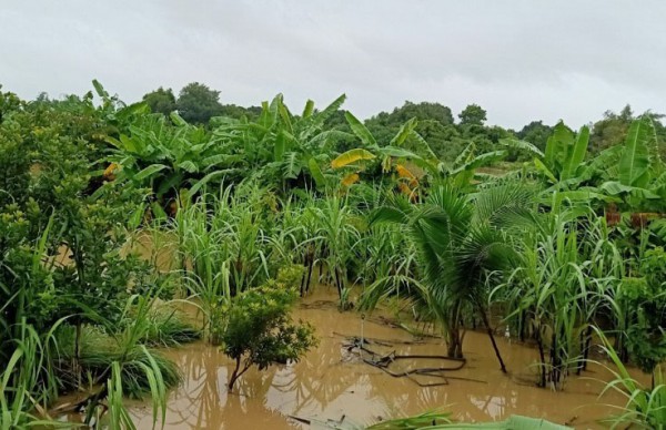 Đắk Lắk: Mưa lũ gây ngập nặng nhiều xã, giao thông bị chia cắt