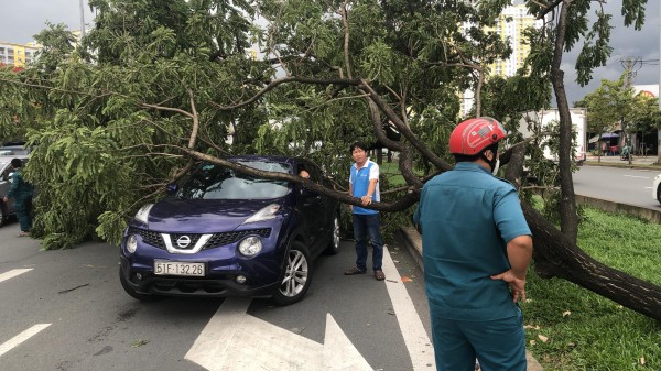 TP.HCM: Gió quật ngã hàng loạt cây xanh đường Võ Văn Kiệt, đè trúng 3 ô tô