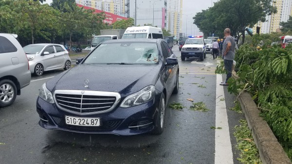 TP.HCM: Gió quật ngã hàng loạt cây xanh đường Võ Văn Kiệt, đè trúng 3 ô tô