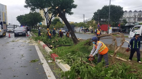 TP.HCM: Gió quật ngã hàng loạt cây xanh đường Võ Văn Kiệt, đè trúng 3 ô tô