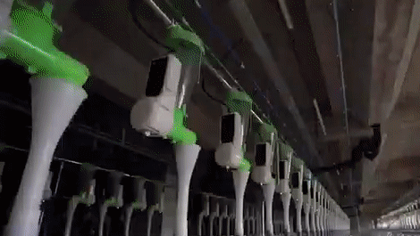 Xây 'siêu khách sạn' 26 tầng tích hợp công nghệ cao, nhưng chỉ để... nuôi lợn - Ảnh 2. Xây 'siêu khách sạn' 26 tầng tích hợp công nghệ cao, nhưng chỉ để... nuôi lợn - Ảnh 2.