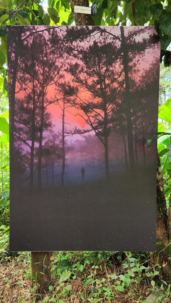 Ấn tượng với triển lãm 