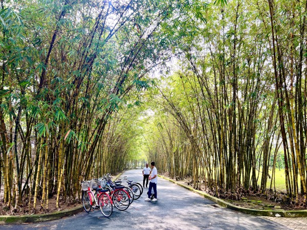 TP.HCM có thêm tour du lịch đi Hóc Môn với điểm check-in đẹp ngỡ ngàng