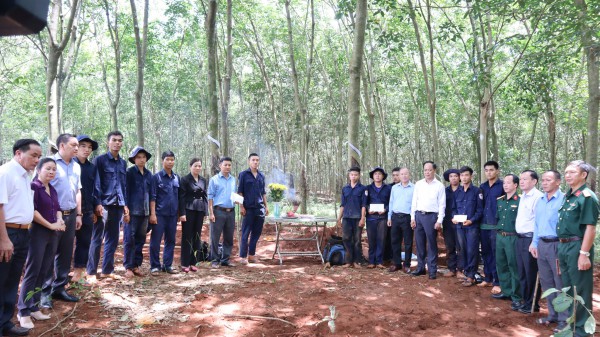 Bình Phước: Tìm thấy 3 hài cốt liệt sĩ tại vườn cao su ở H.Hớn Quản