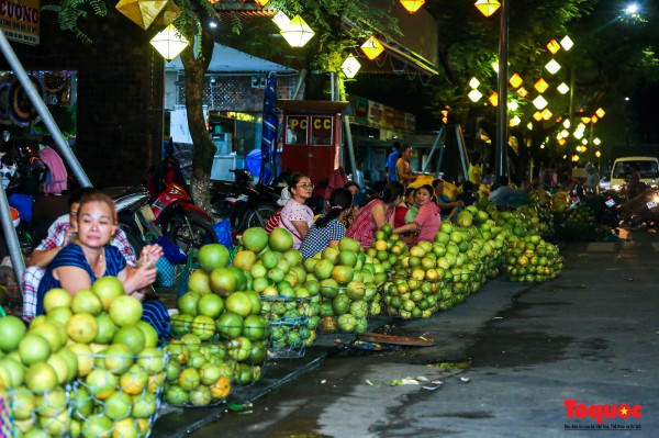 "Thủ phủ" thanh trà xứ Huế vào vụ: Nông dân phấn khởi vì được mùa, được giá