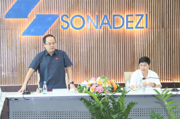 Giám sát hoạt động sản xuất kinh doanh, bảo toàn và phát triển vốn tại Sonadezi