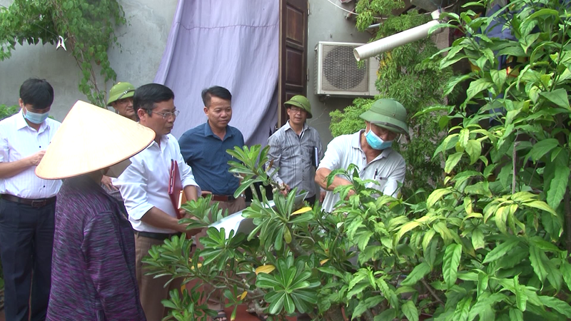 Hà Nội: Tập trung dập dịch sốt xuất huyết tại huyện Phú Xuyên