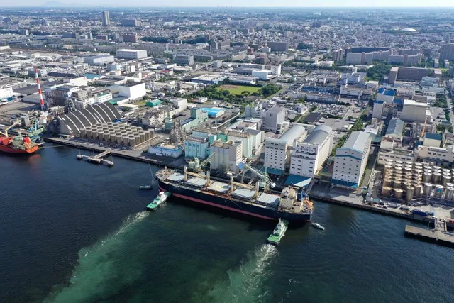 Quay lưng với gạo, nền kinh tế hàng đầu châu Á đối mặt mối đe dọa với an ninh quốc gia - Ảnh 2.