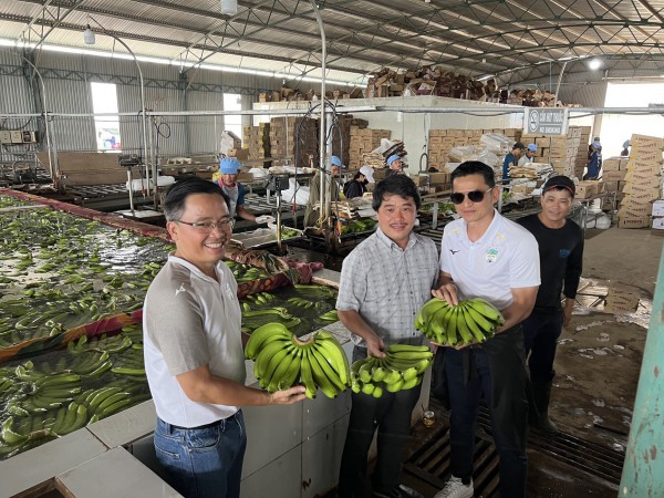 Vì sao bầu Đức lãi khủng?