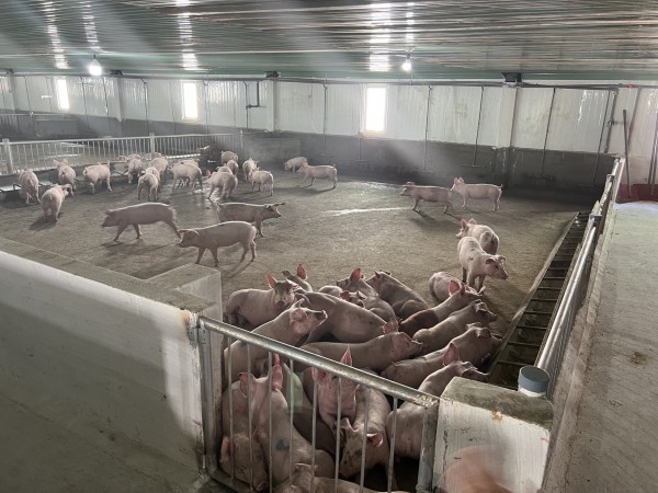 Vì sao bầu Đức lãi khủng?