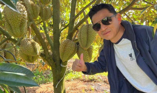 Vì sao bầu Đức lãi khủng: Sở hữu vườn sầu riêng lớn nhất thế giới