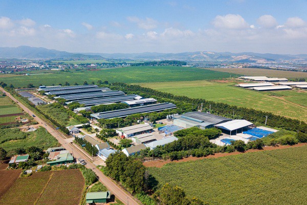 Vinamilk - Doanh nghiệp duy nhất trong ngành sữa nhận Giải thưởng Môi trường Việt Nam